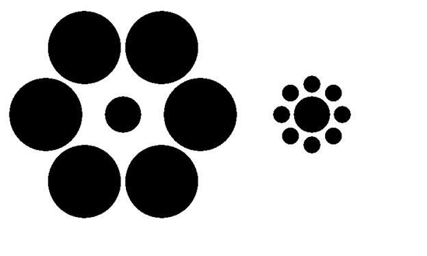 Optical Illusion