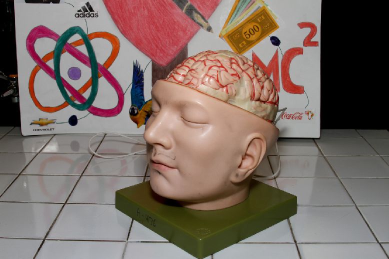 1462_3.jpg